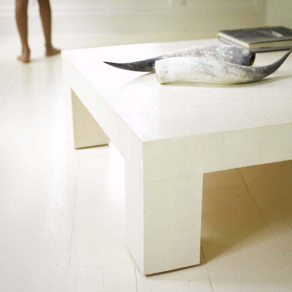 Outer Horns on Shagreen table with legs and book