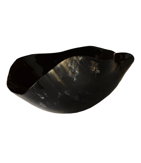 Shikari Horn bowl on white from side