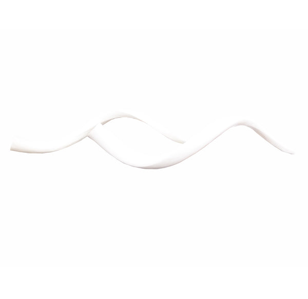 African Kudu Horn White