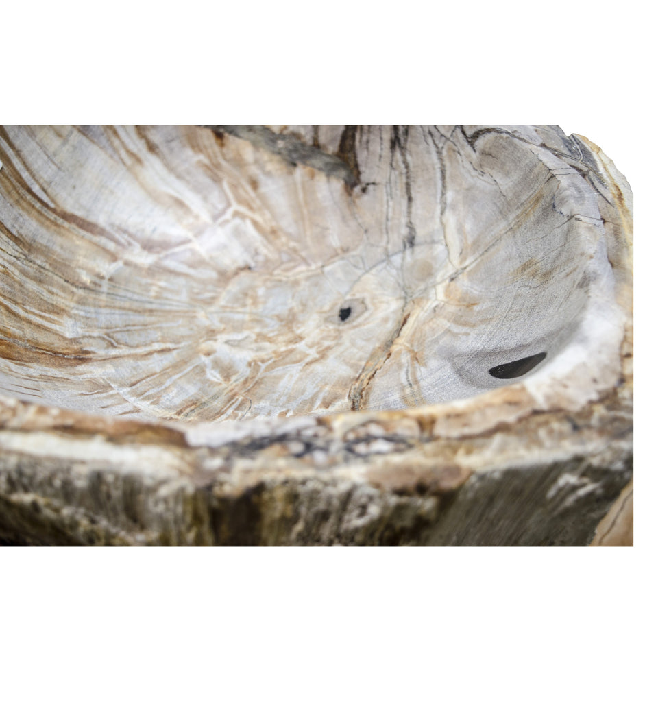 Close view of Light Petrified Bowl