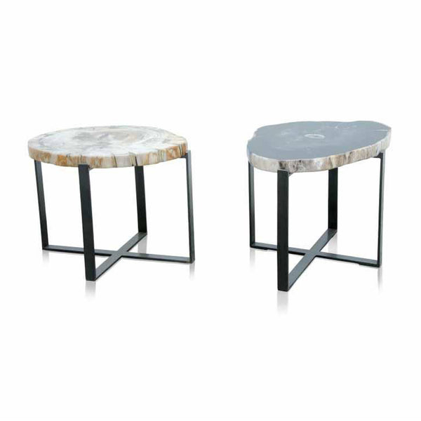 Petrified wood coffee tables