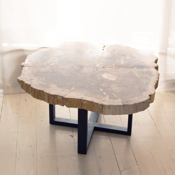 Petrified coffee table