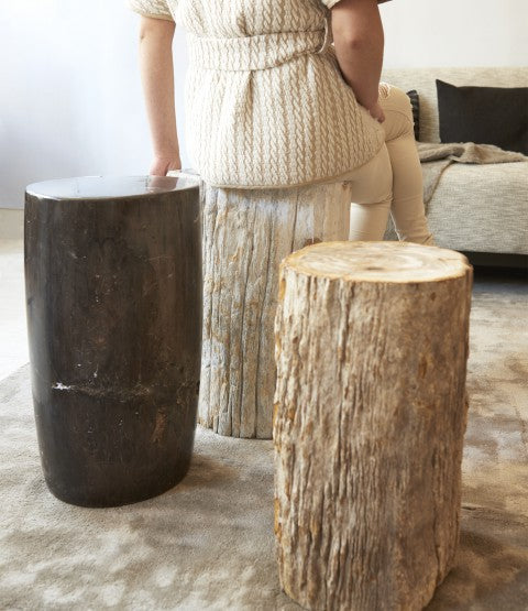 Lady Sitting on Petrified Wood Stool