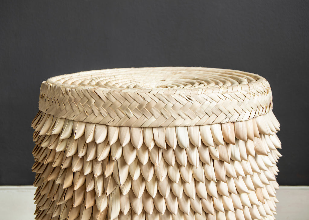 Close up of Porcupine Stool