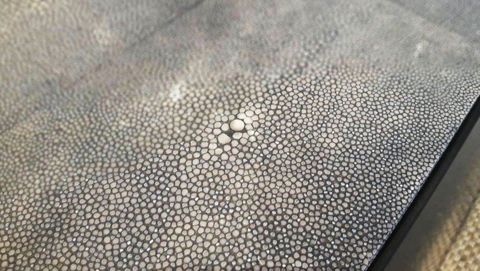 Top Texture of Real Shagreen Console