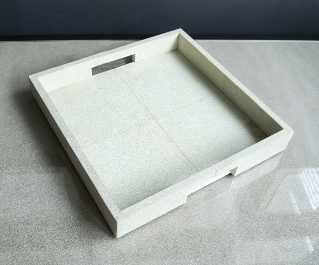 Real shagreen serving tray on desk from top