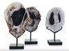 Three Slices of petrified wood on stands