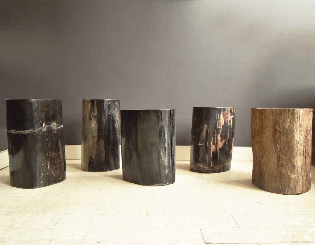 Petrified wood stools in a line