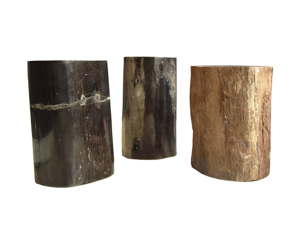 Petrified wood Stools cutout